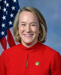 Portrait of Nikki Budzinski