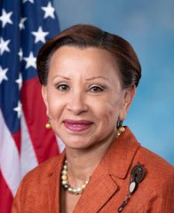 Portrait of Nydia M. Velázquez